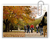 ��������� � ������������ ����: Roosevelt University � University of Maine